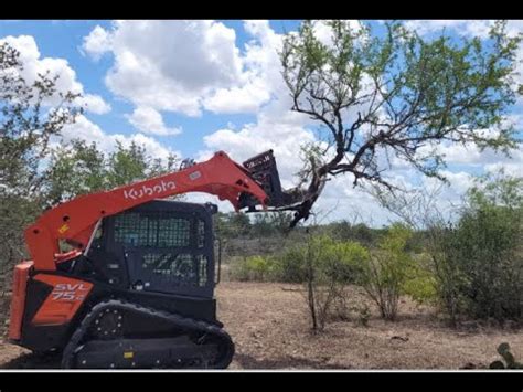 clearing mesquite with a kubota skid steer|mesquite grubbing.